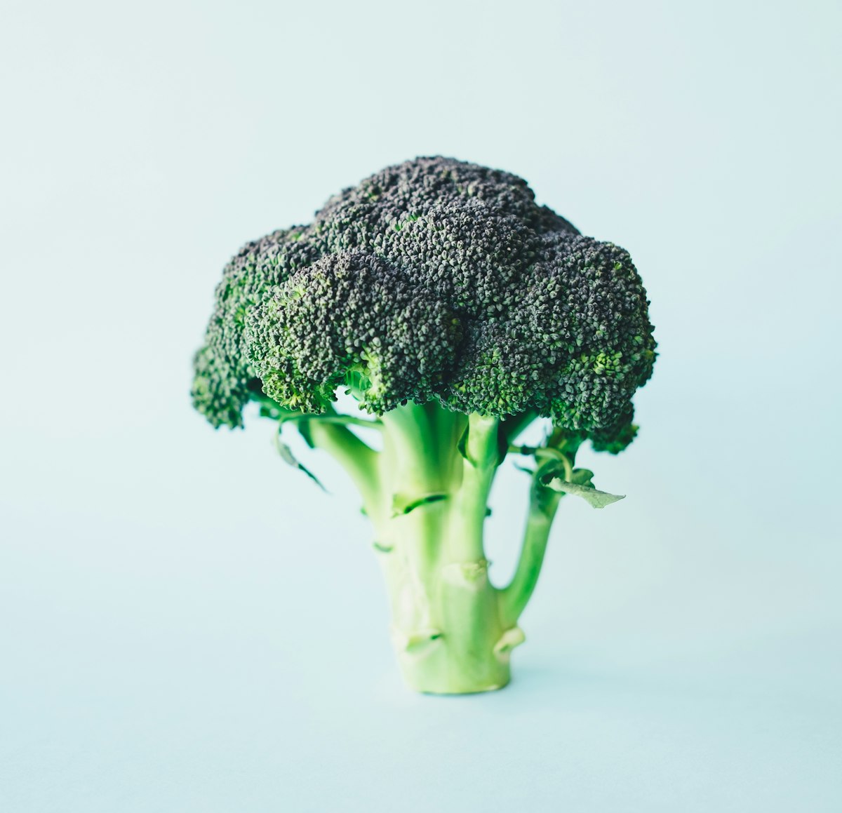 Brocoli