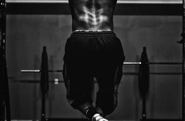 Programme Performance